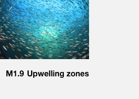 Upweling zones